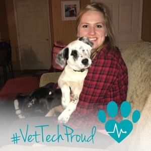 Meet your Posher, Sydney